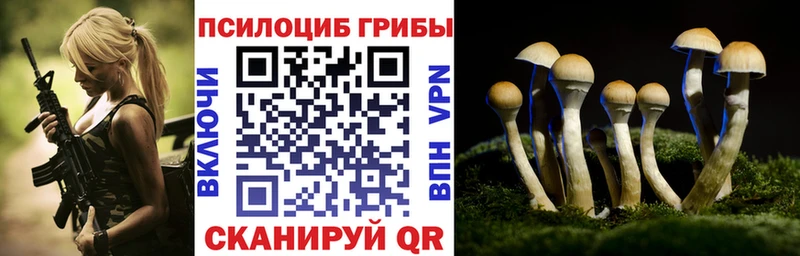 Галлюциногенные грибы GOLDEN TEACHER  сколько стоит  Каневская 
